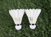 九游娱乐入口-丹麦羽毛球队血洗泰国羽毛球队，戴资颖惊艳世界