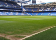 九游体育-美国网球队逆转日本网球队，瓦林卡打破历史纪录