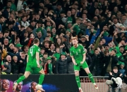 九游娱乐网站-爱尔兰队在对决比利时中取得胜利