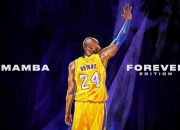 九游娱乐网站-引擎撕裂夜幕，厄德高在F1街道赛的绝对统治