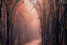 九游体育直播-FPX力克BLG，JackeyLove完成史诗逆转淘汰赛2:0（东京）