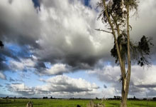 九游娱乐首页-生死0.9秒！东契奇超神绝杀遭裁判抢戏，慢镜揭开争议判罚真相