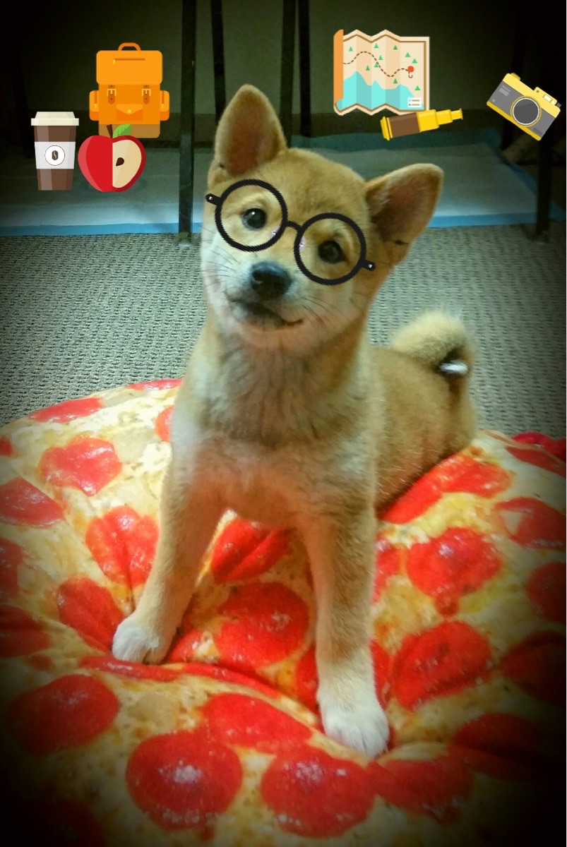 阿坎吉统治级数据闪耀,智利险胜威尔士背后的战术博弈