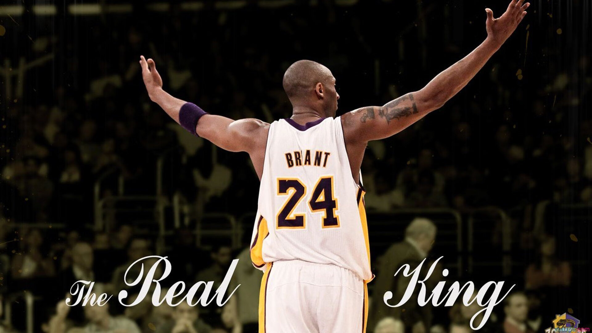 狼啸印城，东决关键战，森林狼攻防一体锁定胜局